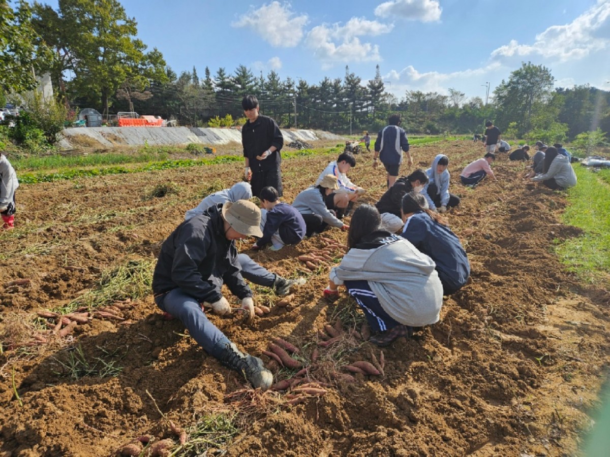 20251026_060015 (2).jpg