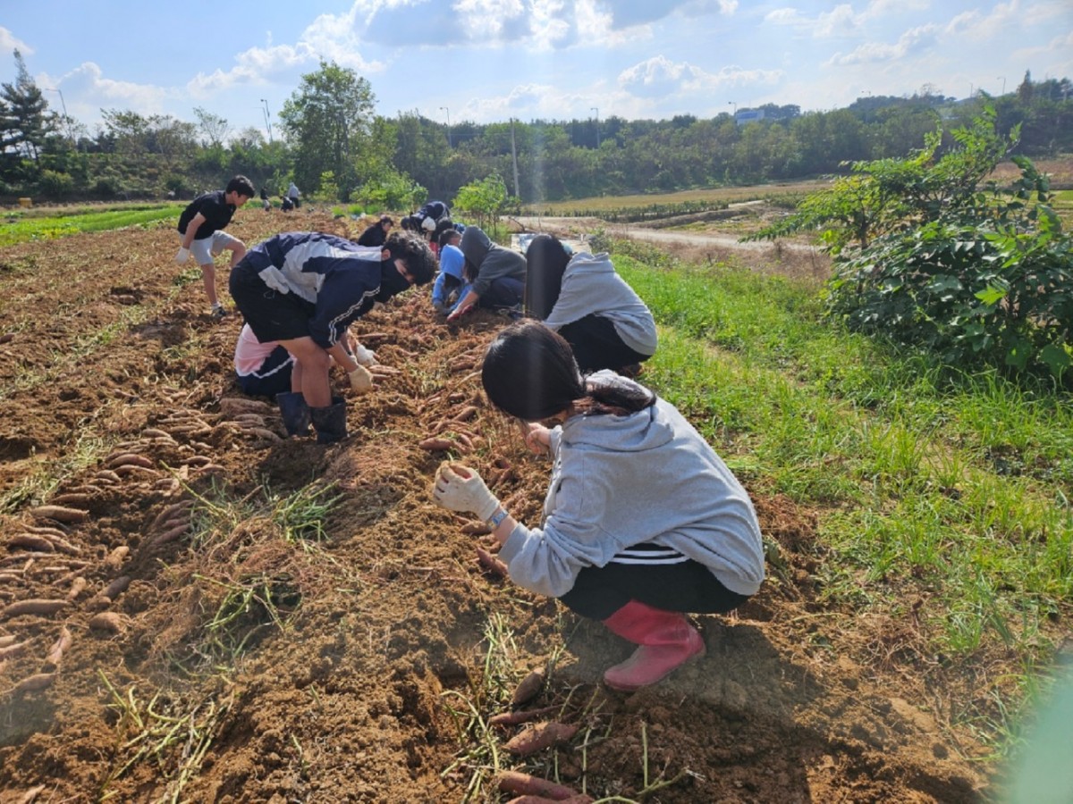 20251026_060015 (4).jpg